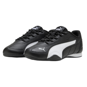 Puma Catch