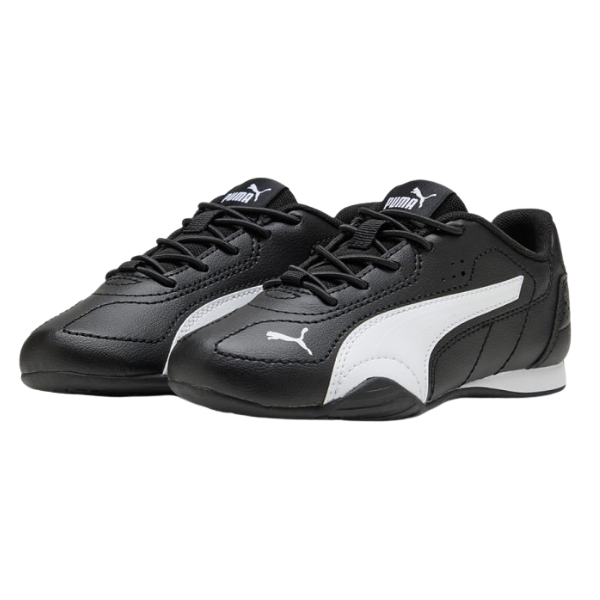 Puma Catch